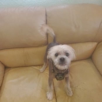 Paw Spa - Pet Groomers Near Me - Lakewood, Washington Paw Spa - Pet Groomers Near Me - Lakewood, Washington
