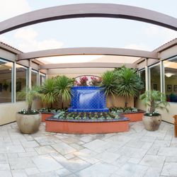 White Blossom Care Center