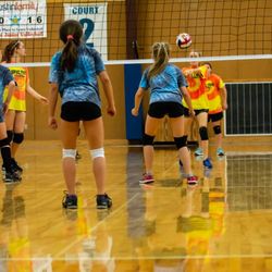 Spike Frog Volleyball