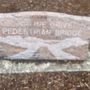 Skyline Drive Pedestrian Bridge