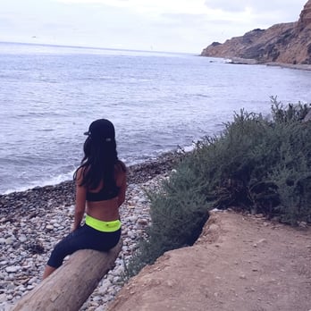 Palos Verdes Cove - Sitting on a log looking at the ocean - Parks Near Me