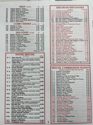 Double Dragon by null