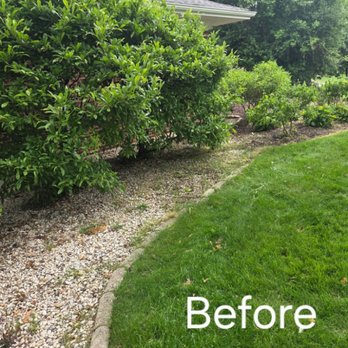 Coy Tree Service - Tree Services Near Me Coy Tree Service - Tree Services Near Me