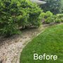 Photo of Coy Tree Service