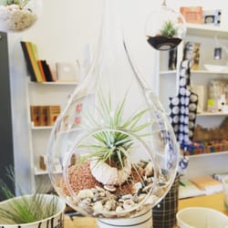Acorn - This is the one we actually bought! :) It's hanging in our living room now.