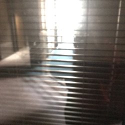 Tranquility Bodyworkz - Empty building ! It's a scam