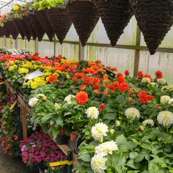 Kim's Nature - Nurseries & Gardening Near Me - Markham, Ontario