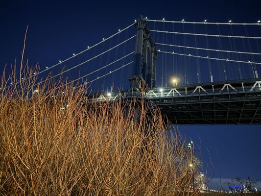 Brooklyn Bridge Park by null