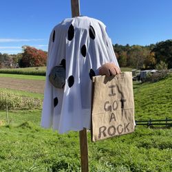 Cucurbit Farm in Acton gift card