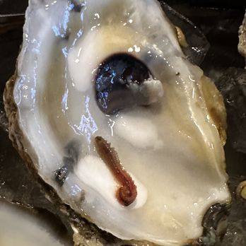 Kelly's Half Shell Pub - Oyster with live worm - Irish Pub Near Me - Crystal River, Florida Kelly's Half Shell Pub - Oyster with live worm - Irish Pub Near Me - Crystal River, Florida