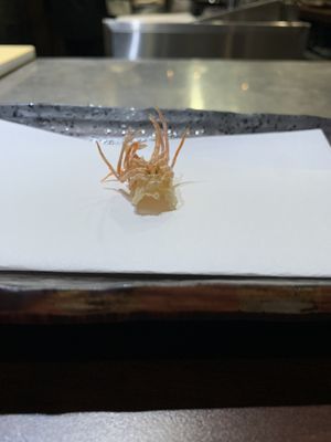 Esora Omakase by null