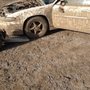 Photo of Robert's Auto Recycling
