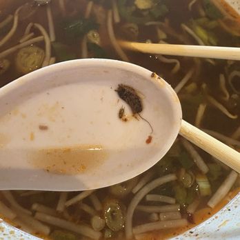 Lilly's Cafe - So damn nasty - Vietnamese Near Me - New Orleans, Louisiana Lilly's Cafe - So damn nasty - Vietnamese Near Me - New Orleans, Louisiana
