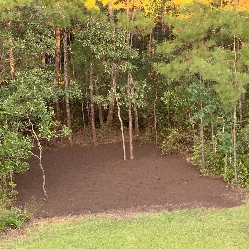 Sam-Jay Services - After ELP excavated and mulched the wooded area. So much cleaner! Removed roots and turned into outdoor living area. - Landscaping Near Me - Savannah, Georgia Sam-Jay Services - After ELP excavated and mulched the wooded area. So much cleaner! Removed roots and turned into outdoor living area. - Landscaping Near Me - Savannah, Georgia