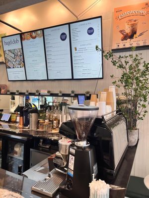 Bagel Club Miami by null