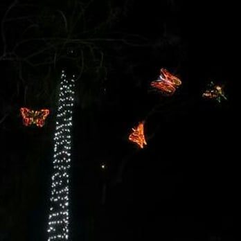 Zoolights - Zoos Near Me - Phoenix, Arizona Zoolights - Zoos Near Me - Phoenix, Arizona