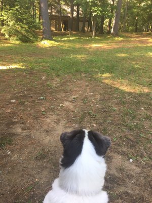 Lake George / Saratoga KOA Journey by null