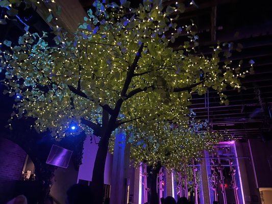 Parq Nightclub by null