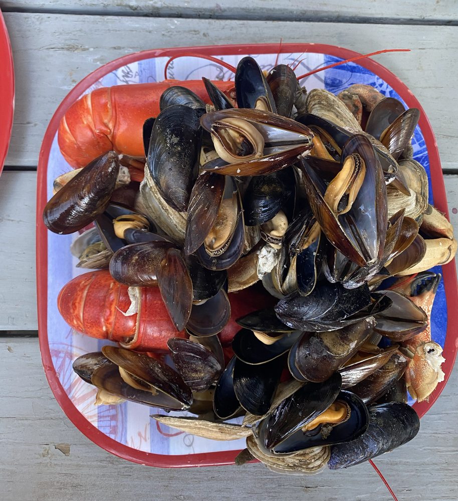 Hodgdon Seafood Logo