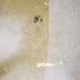 Photo of Shreveport Bossier Pressure Washing