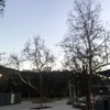 Palmer Park gift card