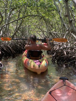 Happy Paddler Kayak Tours & Rentals - Lido Key Ted Sperling Park by null
