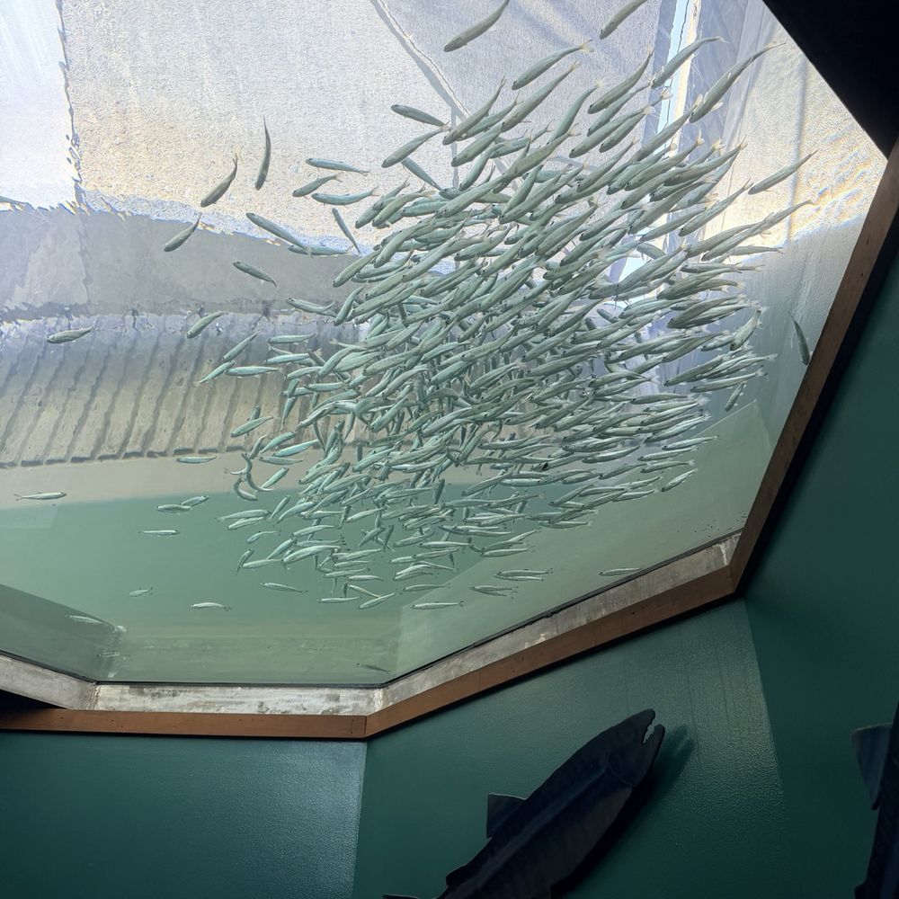 Seattle Aquarium - Aquariums Near Me - Seattle, Washington Seattle Aquarium - Aquariums Near Me - Seattle, Washington