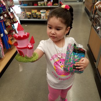 PetSmart - Picking out her Castle - Pet Training Near Me - Kearny, New Jersey PetSmart - Picking out her Castle - Pet Training Near Me - Kearny, New Jersey