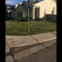 Photo of Alameda Landscaping