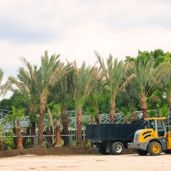 Katy Garden Center