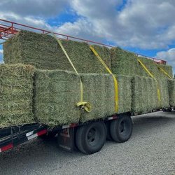 Branex Feed and Supply