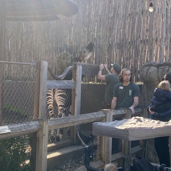 Dallas Zoo - Zoos Near Me - Dallas, Texas Dallas Zoo - Zoos Near Me - Dallas, Texas