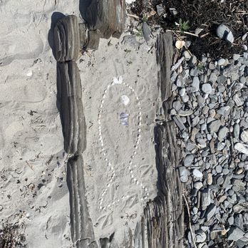 Cedar beach - Found some arts on the island - Beaches Near Me - Harpswell, Maine