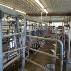 Milking Area