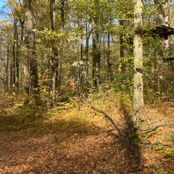 Hochseilgarten Abenteuerpark - Waldhochseilgarten - Abenteuerpark Moritzburg