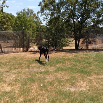 SkyBlue Kennels - Pet Training Near Me - Austin, Texas SkyBlue Kennels - Pet Training Near Me - Austin, Texas