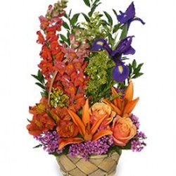 Lebens Floral & Gardens At Old Time Market