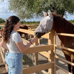 Animal feeding - tour