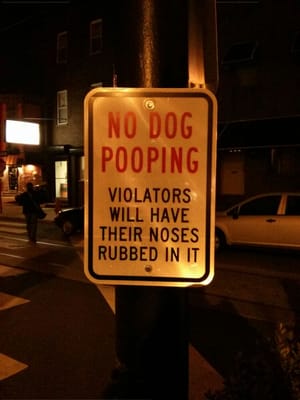 1538 S 11th St by null