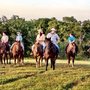 Photo of Texas Livestock Rentals