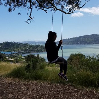 Hippie Tree - Hiking Near Me - Tiburon, California