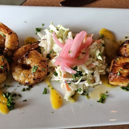 Scallops Scallops