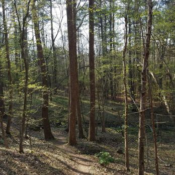 Eno River State Park - Pump station trail - Parks Near Me - Durham, North Carolina