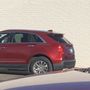 Photo of Velvet Bow Mobile Pet Grooming