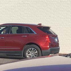 Velvet Bow Mobile Pet Grooming - The animal abuser