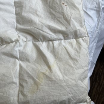 Little America Hotel & Resort - Cheyenne - Disgusting Bed Sheets. - Hotels Near Me - Cheyenne, Wyoming Little America Hotel & Resort - Cheyenne - Disgusting Bed Sheets. - Hotels Near Me - Cheyenne, Wyoming