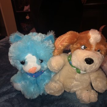 Half Price Laundromat - Yay my cute kitty and goofy dog lol - Laundromat Near Me - Arleta, California Half Price Laundromat - Yay my cute kitty and goofy dog lol - Laundromat Near Me - Arleta, California