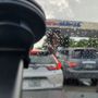 Costco Gas Station