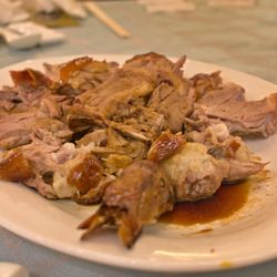 Lobster Port - Duck Pieces