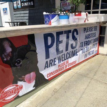 The Spot Cafe - Pets welcome! - New American Near Me - Groton, Connecticut